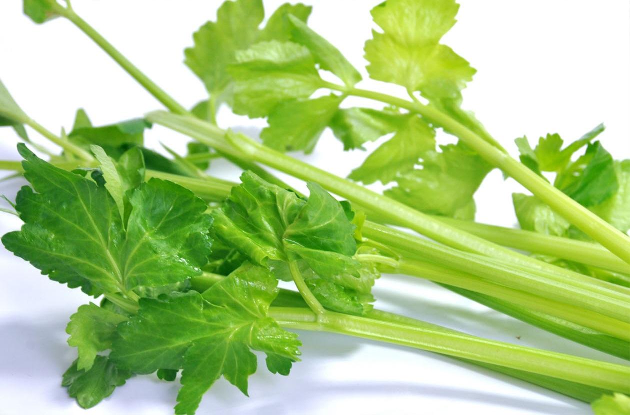 蔬菜是个宝，这些部位也更好！