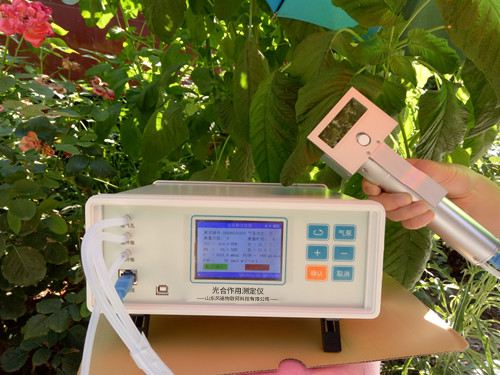 植物气孔针有何应用？