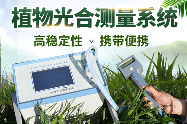便携式光合仪 便携式光合仪