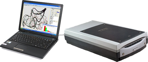 植物根系分析系统 植物根系分析系统